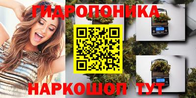 индика Малгобек