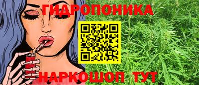 индика Малгобек