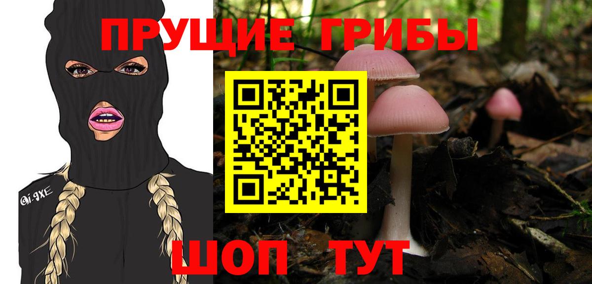 Псилоцибиновые грибы MAGIC MUSHROOMS  Вход с VPN  Электросталь 